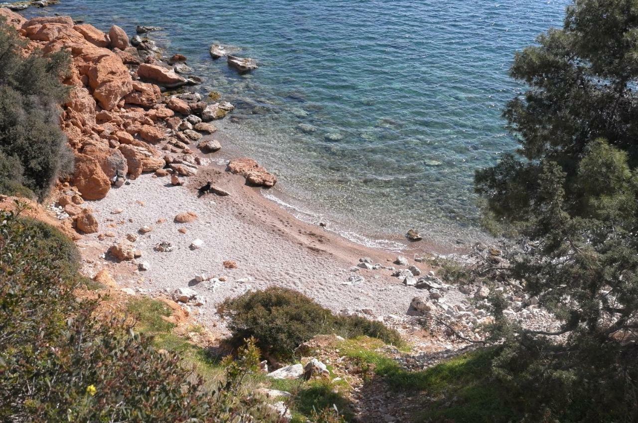 Starapartment Athens-Varkiza Top 2 외부 사진